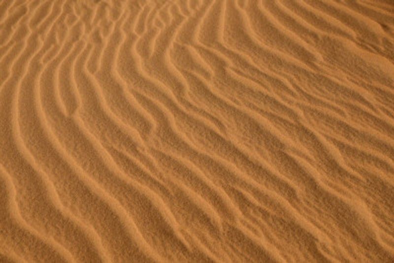 Jockey's Ridge Sand Dunes