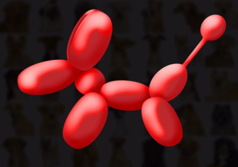Balloon Dog
