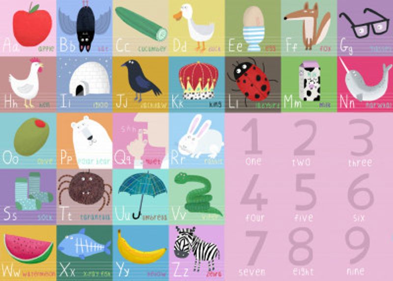 Cute Colorful Alphabet and Counting Illustration