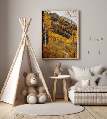 Conundrum Creek Trail II