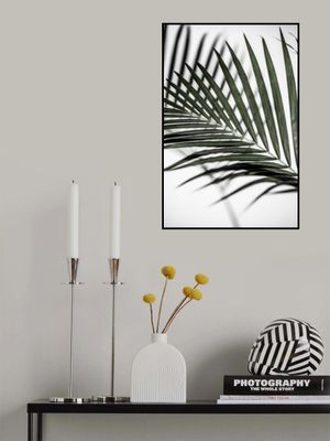 Vibrant Green Palm Leaf