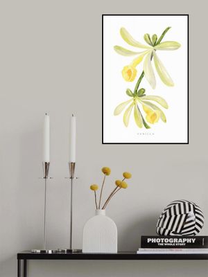 Watercolor vanilla orchid