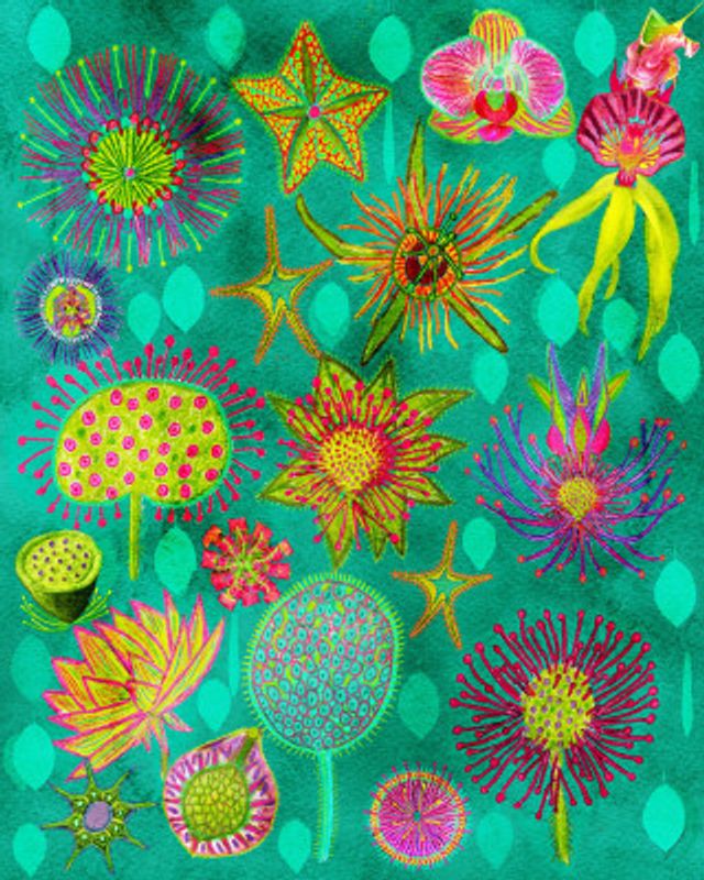 Electric Candy Forest.png