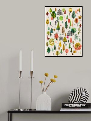 Colorful Park Trees Orange Green