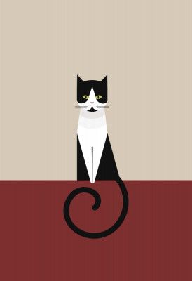 Coco as a geometric cat