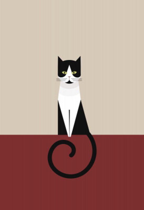 Coco as a geometric cat