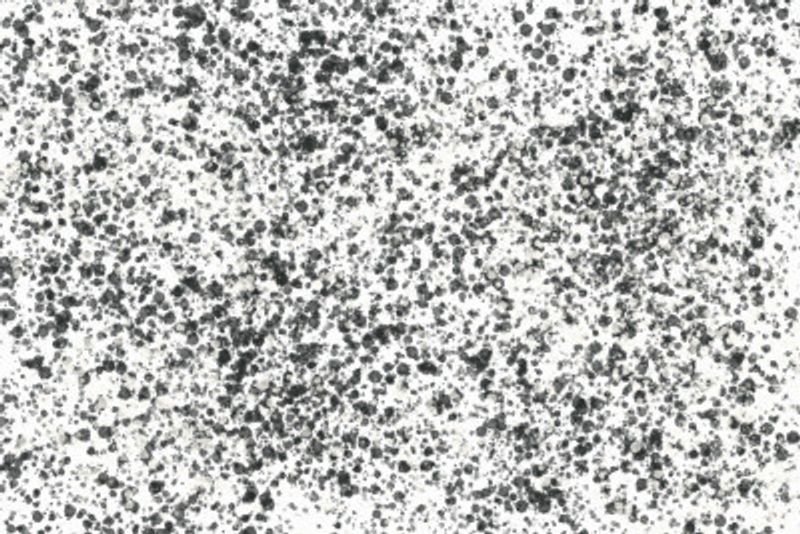 Monochrome Speckles