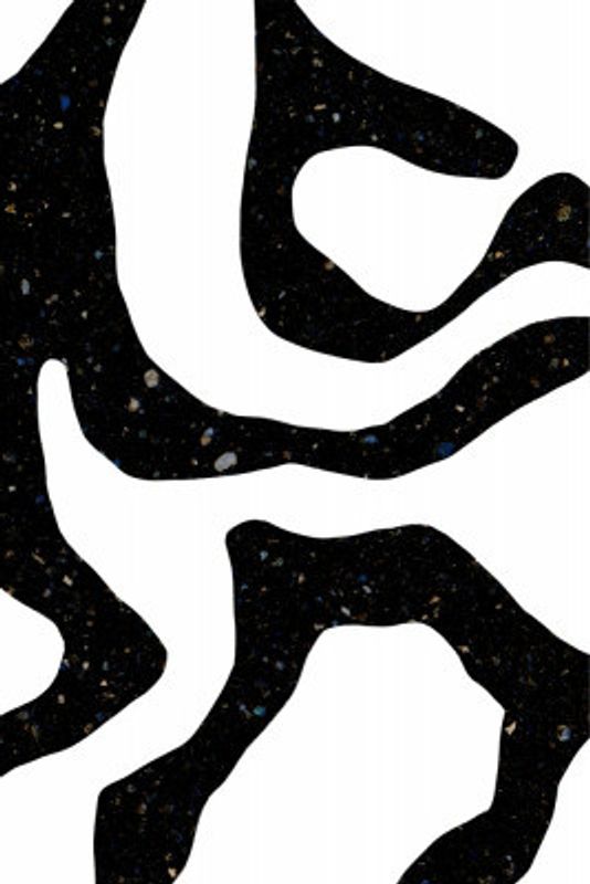 Organic Black Forms with Speckled Patterns