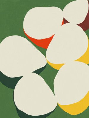 Organic Shapes And Vibrant Colors