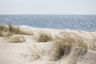 Serene Beach Dunes