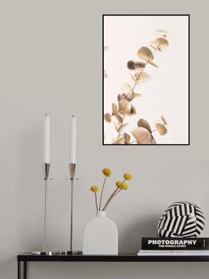 Eucalyptus Gold No 03