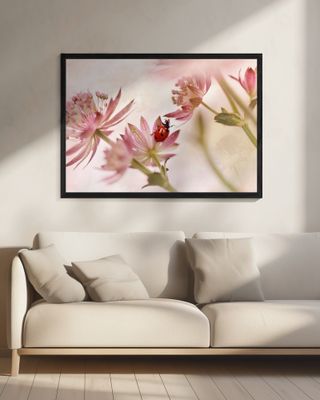 Ladybird and pink flowers