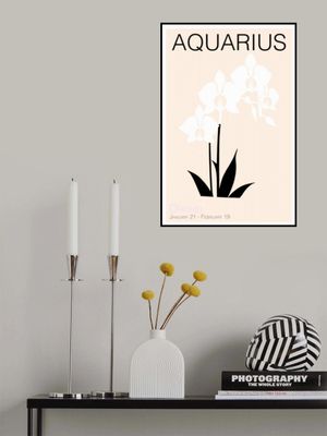 Aquarius Delicate Orchids