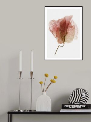 Delicate Petal Veins