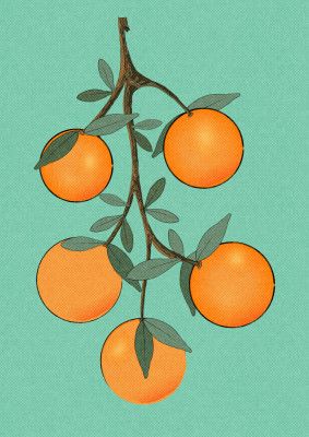 Orange Fruits with leaves