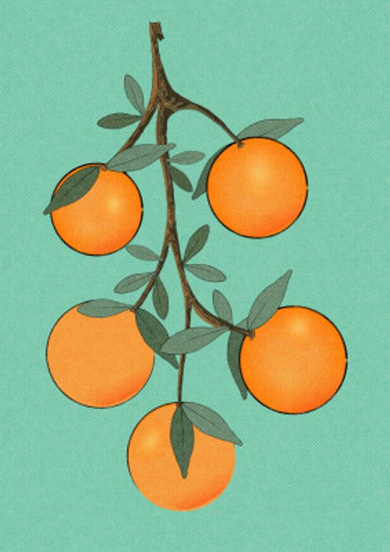 Orange Fruits with leaves