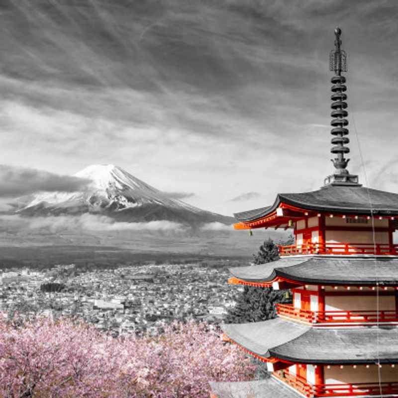 Lovely view of Mount Fuji with Chureito Pagoda during cherry blossom season - colorkey