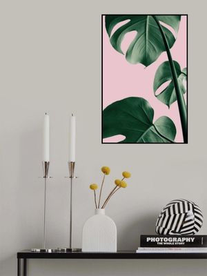 Monstera Pink No 06