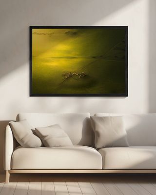 The Sheep in The Green Land