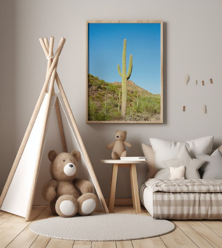 Saguaro National Park XI on Film