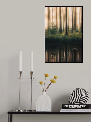 Reflection in the foggy forest