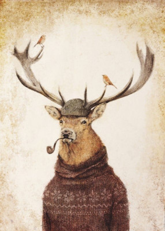 Winter Stag