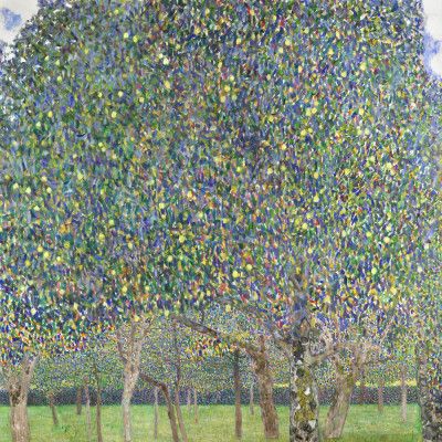 Pear Tree (1903)