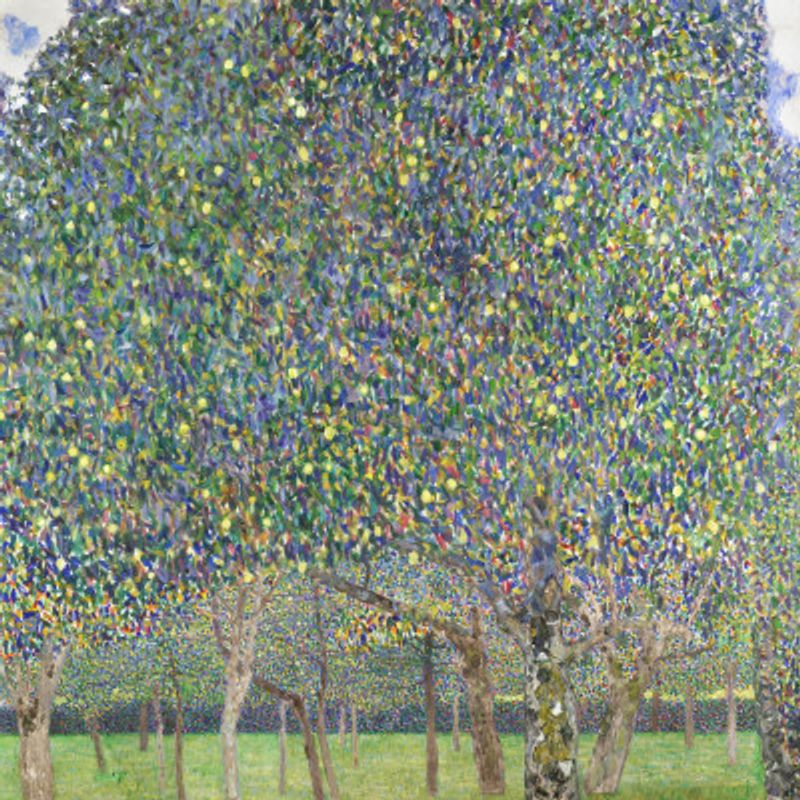 Pear Tree (1903)
