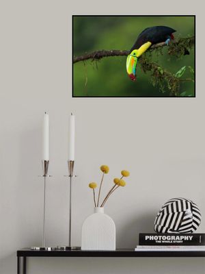 The colors of Costa Rica