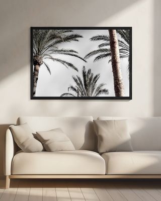 Palm_007