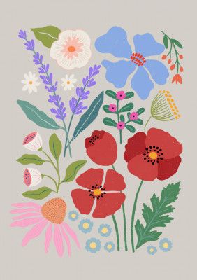 Poppies and Lavender Meadow