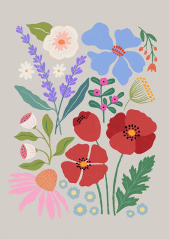 Poppies and Lavender Meadow