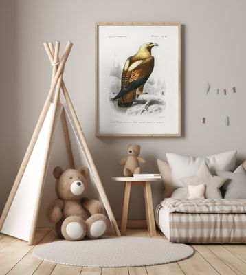 Eastern Imperial Eagle