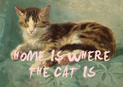 Home is where the cat is