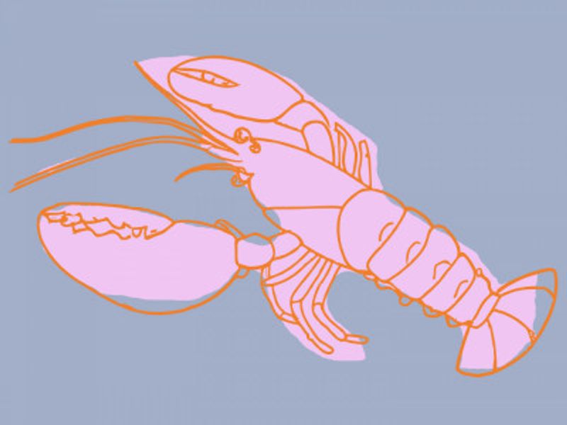 Neon Lobster Vibes