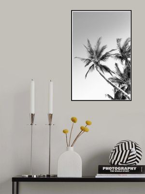 Tropical Silhouettes