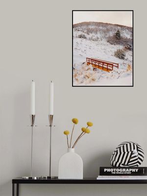 Bridge Over Frozen Water