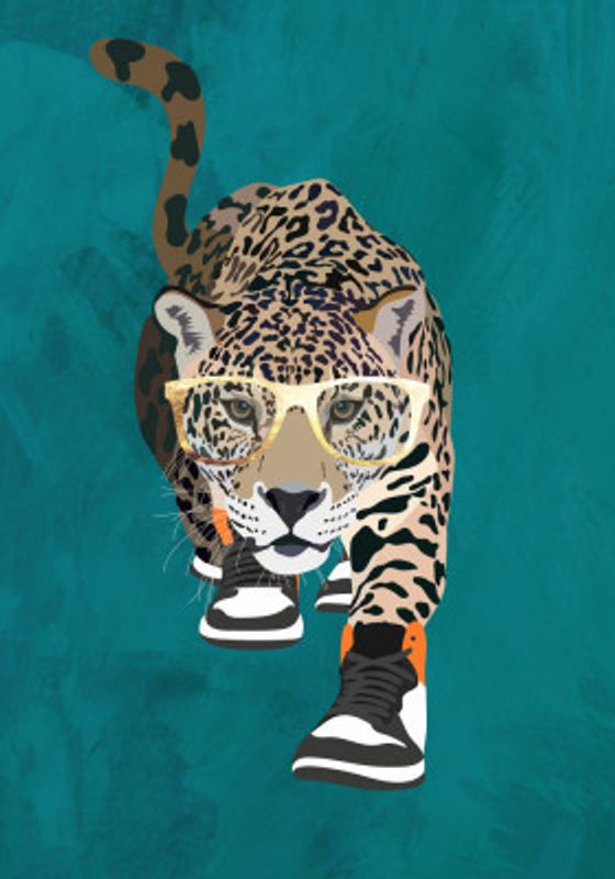 Jaguar prowling in high top sneakers