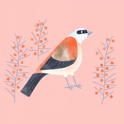 Berry Perch Serenade