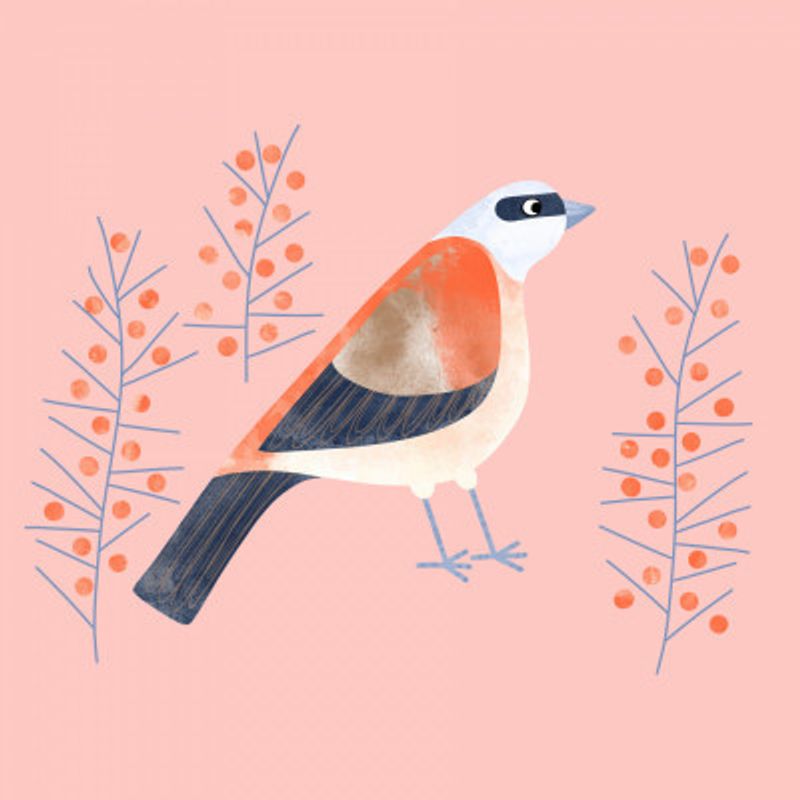 Berry Perch Serenade