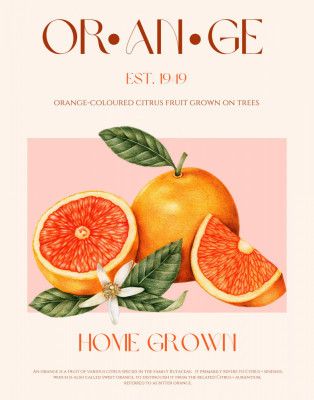 Vintage-themed With Vibrant Oranges