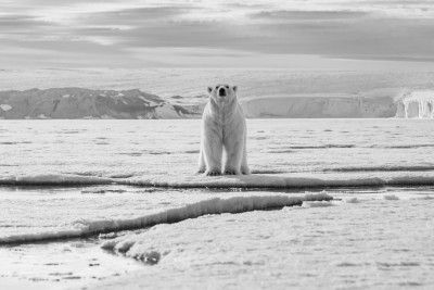 Welcome to my glacier