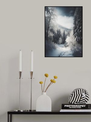 Beautiful Winter No 3