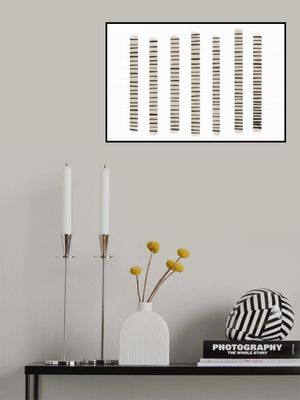 Monochrome Stripes