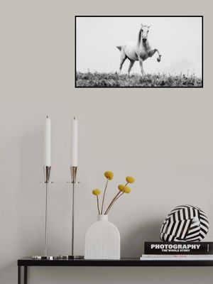 a short story about white beauty