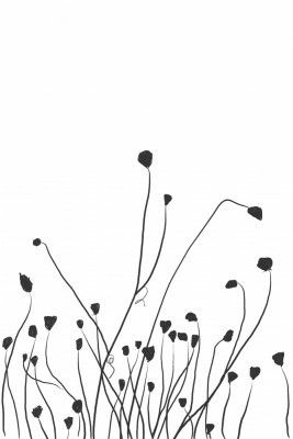 Simply modern flowers