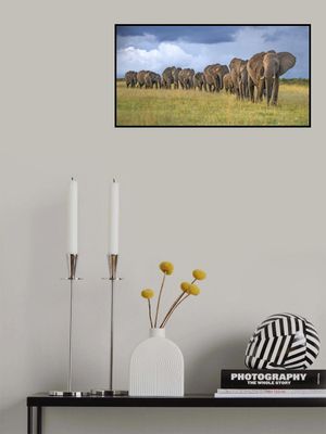 The Land Of The Giants