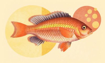 A Retro Fish (lots of Yellow and Orange)