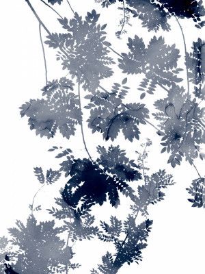 Deep Ecology 1 Bluegrey