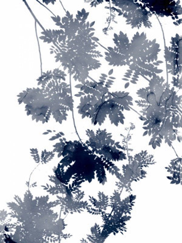 Deep Ecology 1 Bluegrey